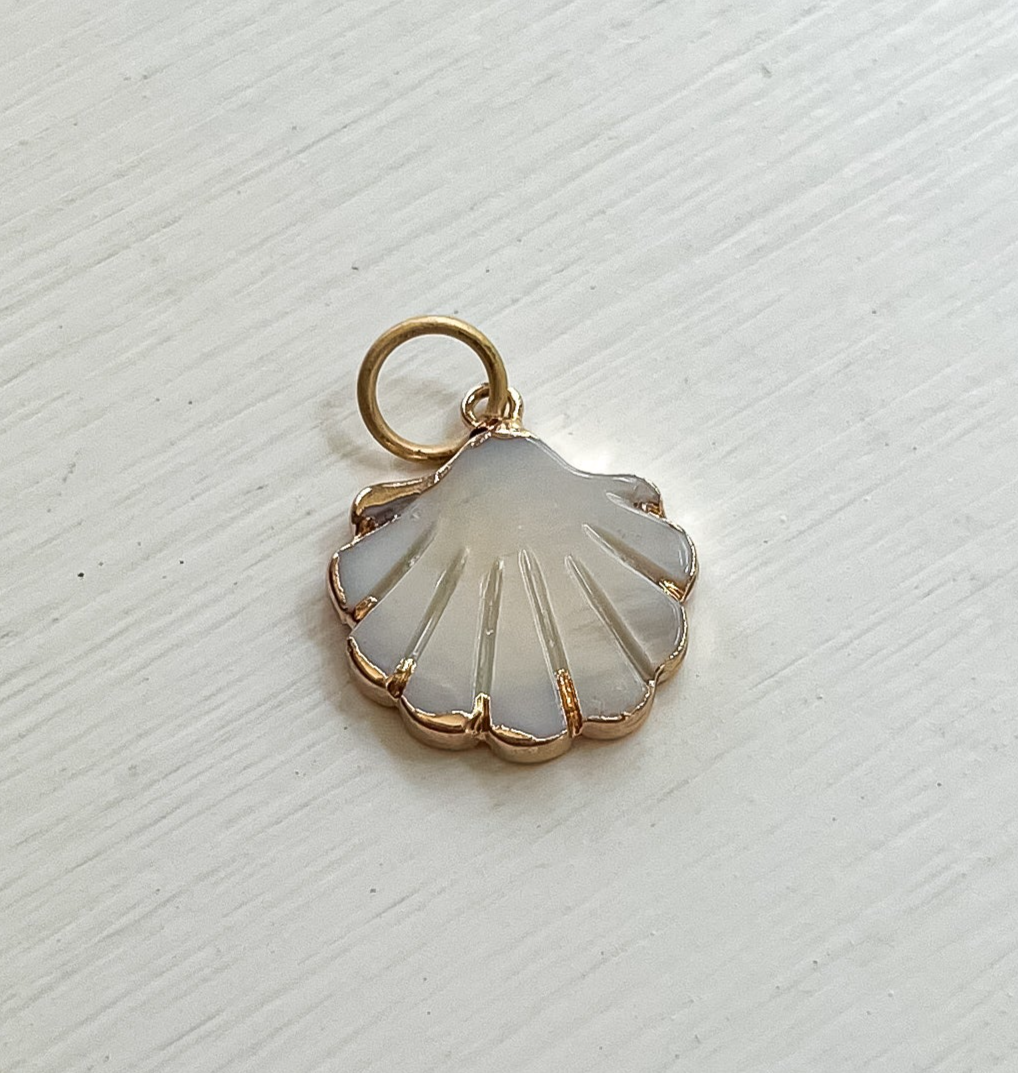 Mother of Pearl Scalloped Shell