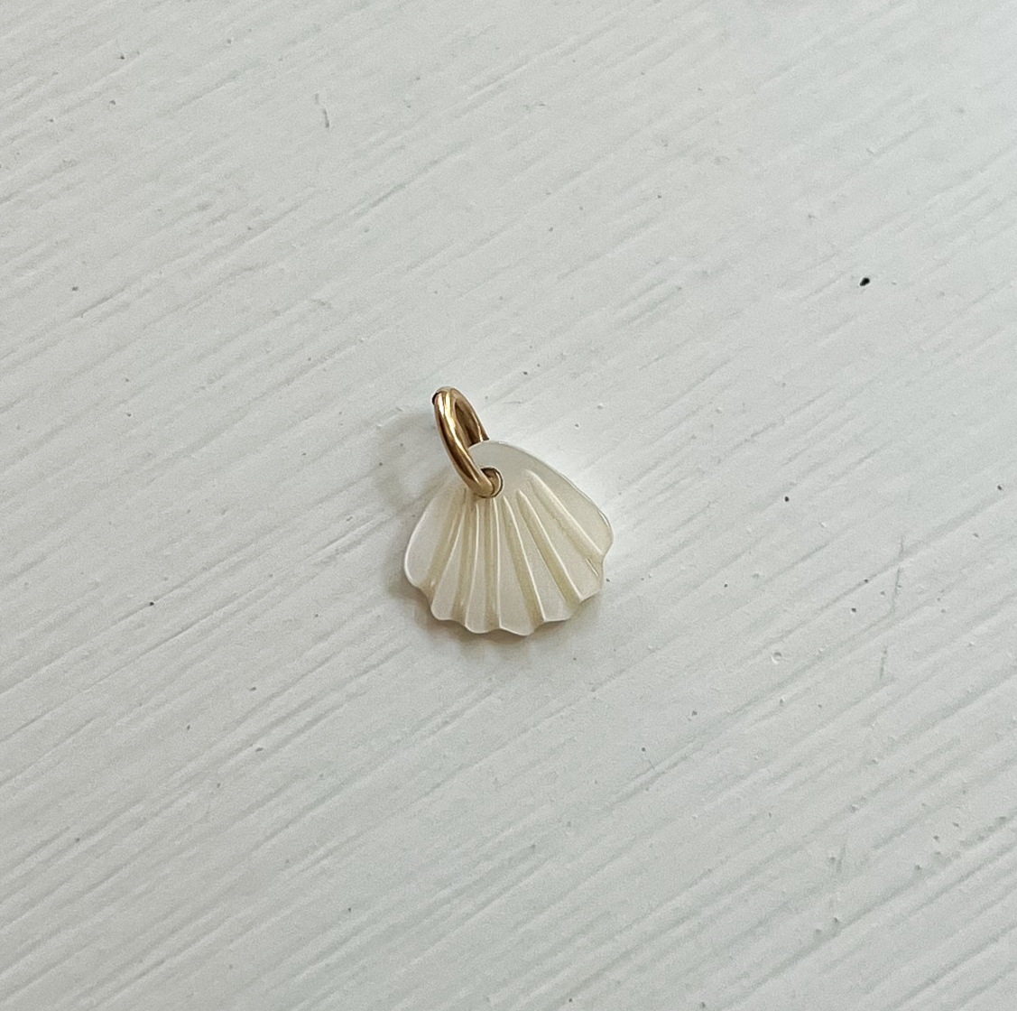 Mini Scallop Shell
